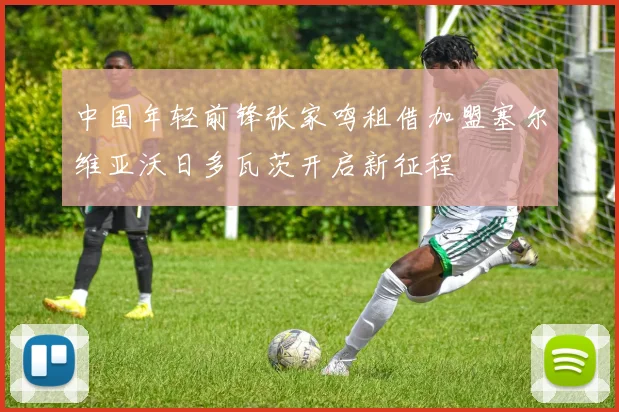 中国年轻前锋张家鸣租借加盟塞尔维亚沃日多瓦茨开启新征程