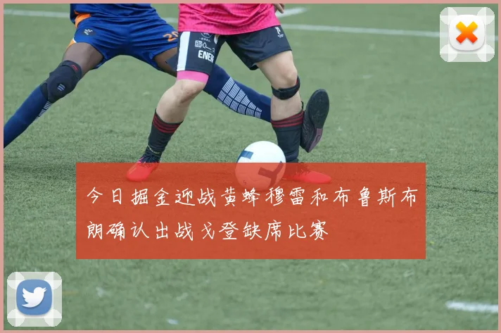 今日掘金迎战黄蜂穆雷和布鲁斯布朗确认出战戈登缺席比赛