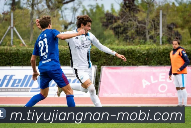 江南体育平台生态图